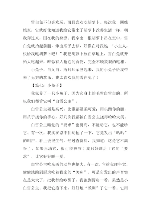 小兔子的作文.docx
