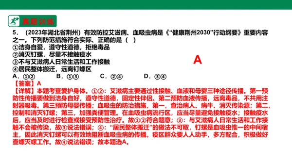 新课标七上第四单元生命的思考复习课件2023