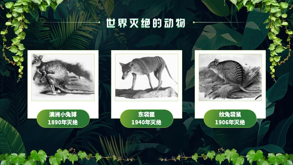 世界野生动植物日保护野生动物通用PPT模板