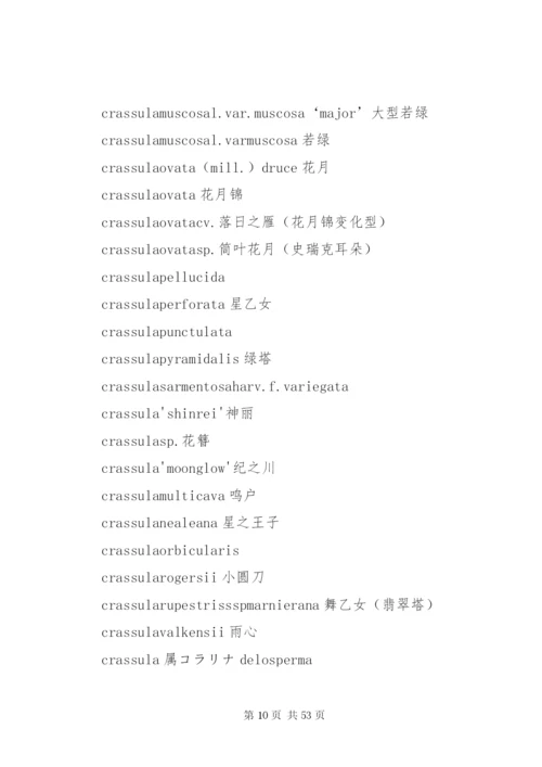 多肉公司建立方案.docx