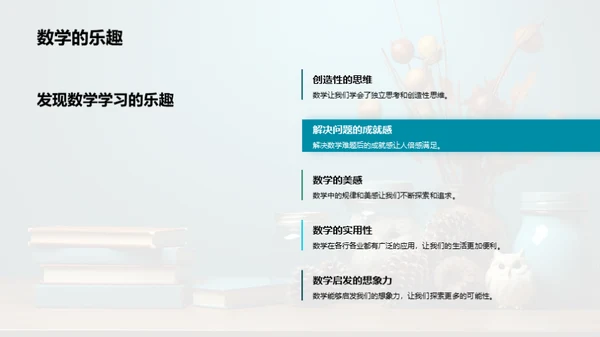 数学探索之旅