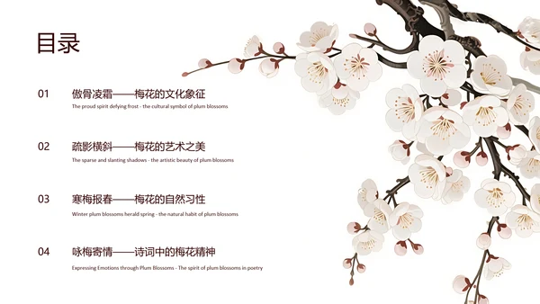 白色简约风梅花介绍PPT模板