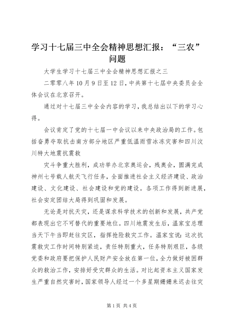 学习十七届三中全会精神思想汇报：“三农”问题 (4).docx