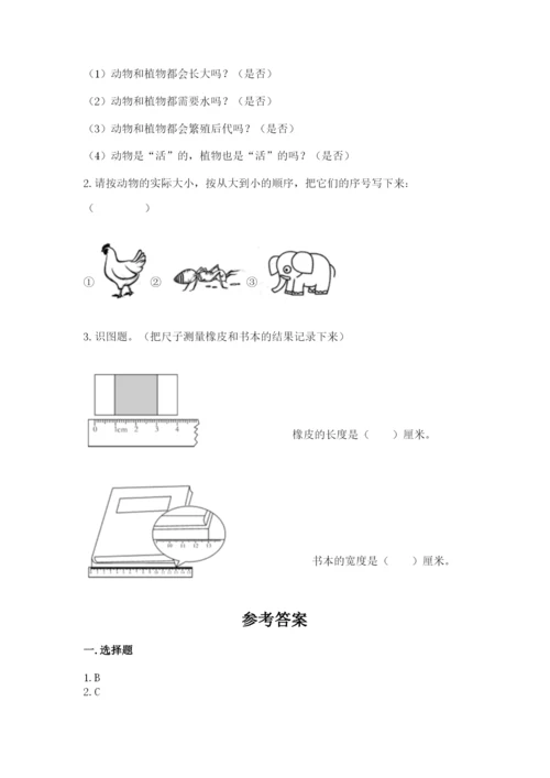 教科版一年级上册科学期末测试卷含完整答案（全国通用）.docx