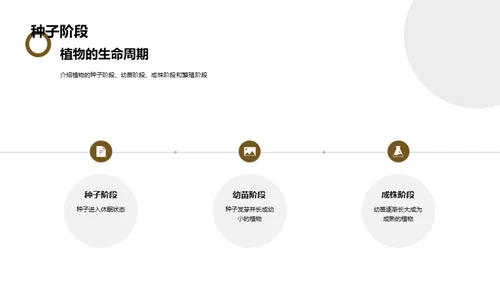 探秘植物成长之旅