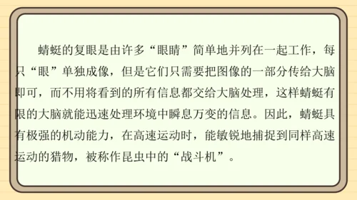 统编版语文六年级上册主题八　科学智慧 阅读与写作指导课件