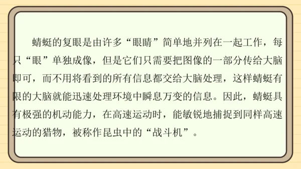 统编版语文六年级上册主题八　科学智慧 阅读与写作指导课件
