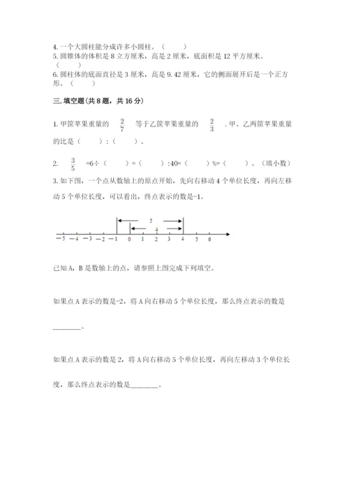 石家庄市鹿泉市六年级下册数学期末测试卷及完整答案一套.docx