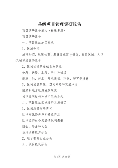 县级项目管理调研报告 (4).docx