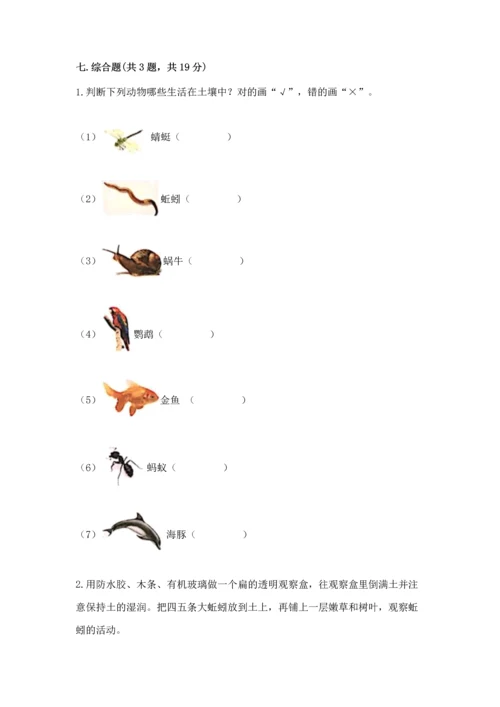 教科版科学二年级上册《期末测试卷》含答案（最新）.docx