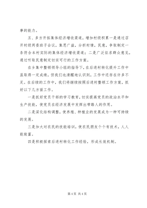 后进村集中整顿汇报.docx