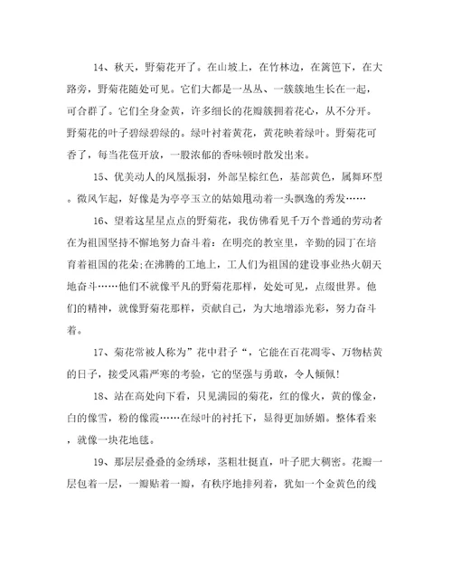 描写菊花香味的唯美语录