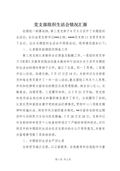 党支部组织生活会情况汇报.docx