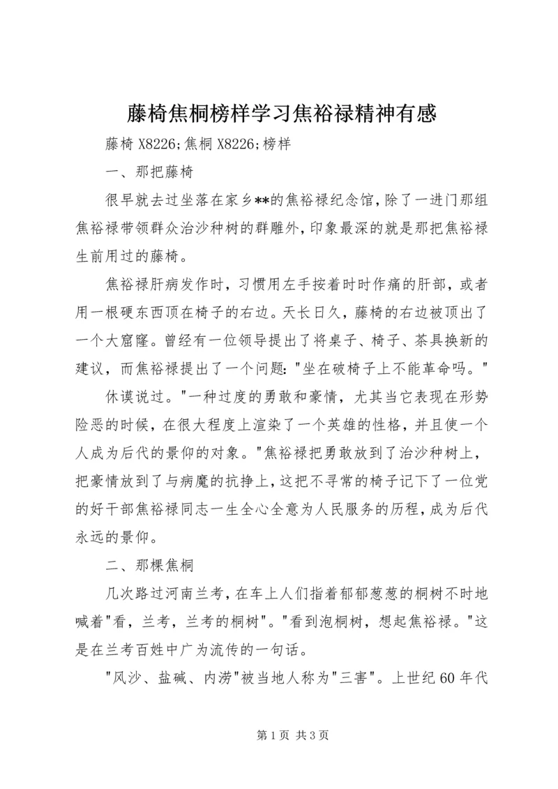 藤椅焦桐榜样学习焦裕禄精神有感.docx