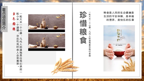 大粮仓粮食丰秋通用PPT模板