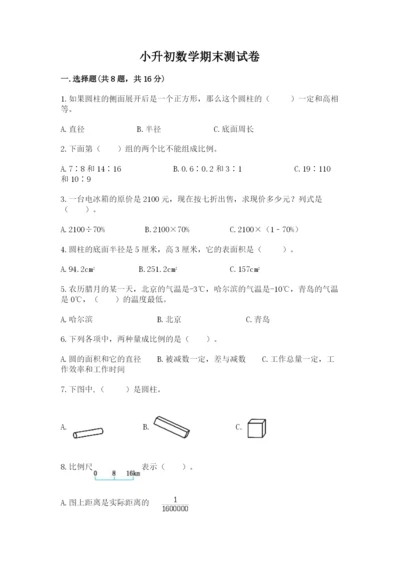 小升初数学期末测试卷【轻巧夺冠】.docx
