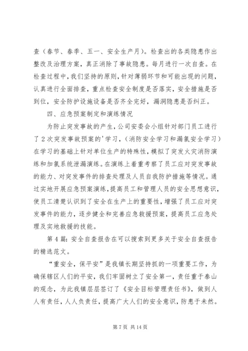 安全自查报告（推荐8篇） (2).docx