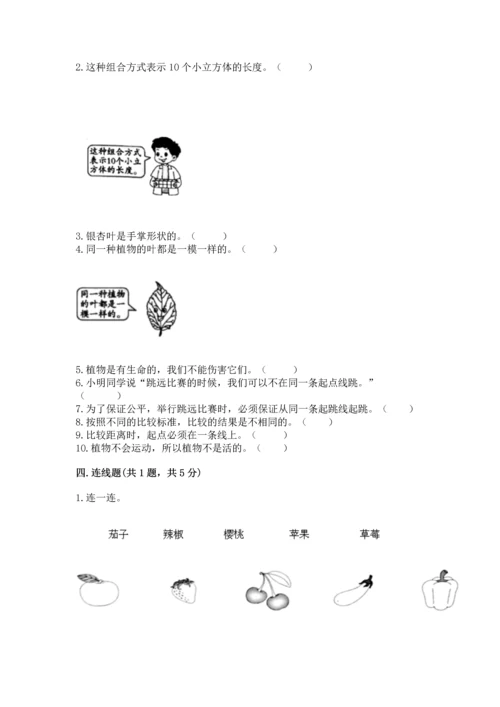 教科版一年级上册科学期末测试卷（黄金题型）.docx