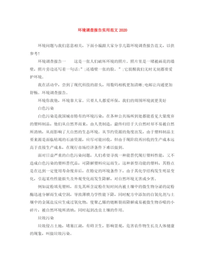 精编之环境调查报告实用范文.docx