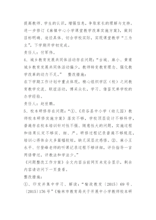 问题整改工作方案.docx