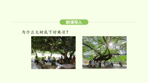 第三单元-第二章-第四节-植物在自然界中的作用课件-2024-2025学年七年级生物下学期人教版(2