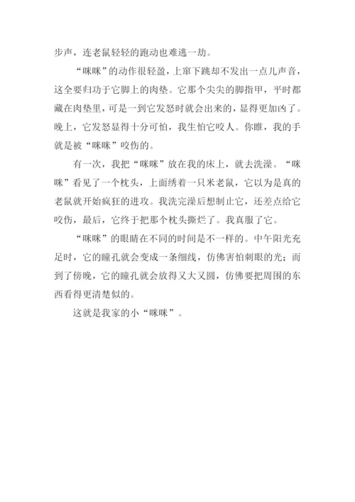 波丝猫作文0.docx
