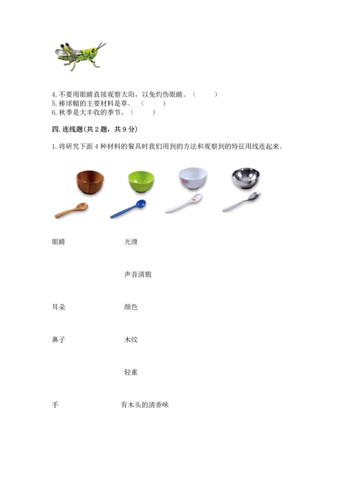 教科版二年级上册科学期末测试卷（典型题）.docx