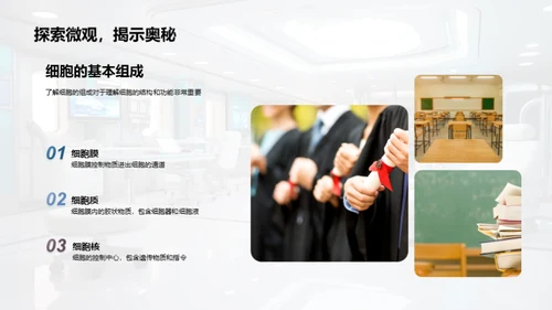 探索细胞之谜