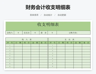 财务会计收支明细表