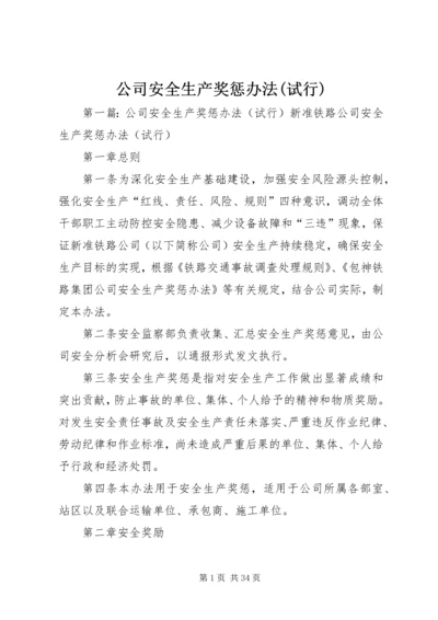 公司安全生产奖惩办法(试行).docx