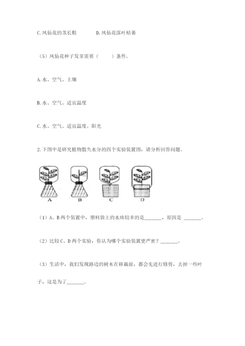 科学四年级下册第一单元《植物的生长变化》测试卷附参考答案（满分必刷）.docx