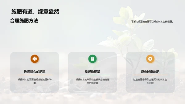 校园绿化：植树行动