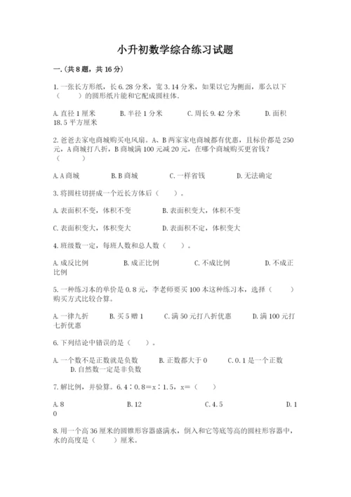 小升初数学综合练习试题完美版.docx