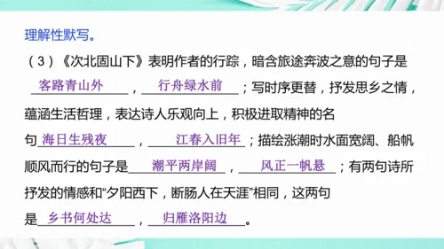 第一单元 复习课件(共75张PPT)