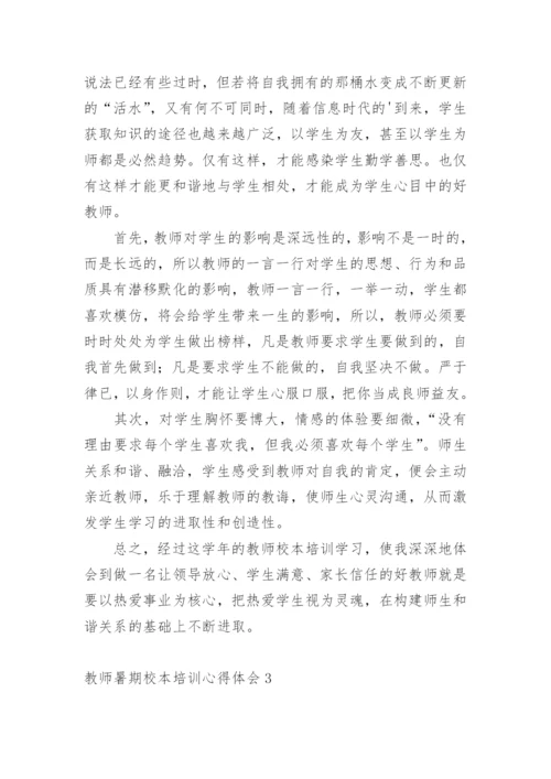 教师暑期校本培训心得体会.docx