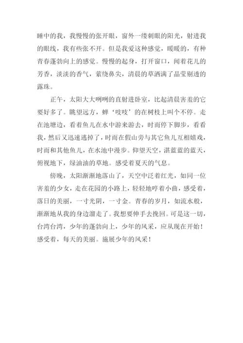 少年风采作文500字.docx