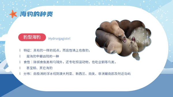 世界海豹日小海豹通用PPT模板