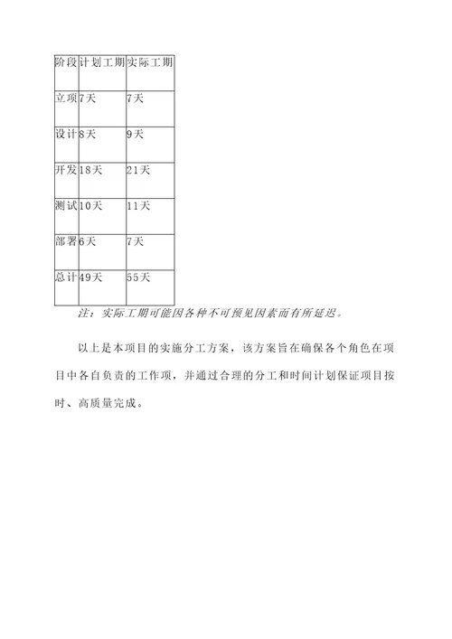 项目实施分工方案