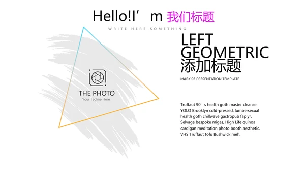 炫彩时尚公司产品介绍宣传通用PPT动态模板