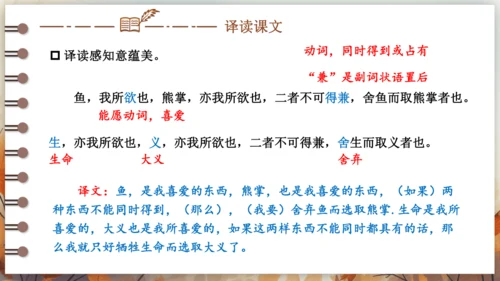 9 鱼我所欲也 课件(共38张PPT) 2024-2025学年语文部编版九年级下册