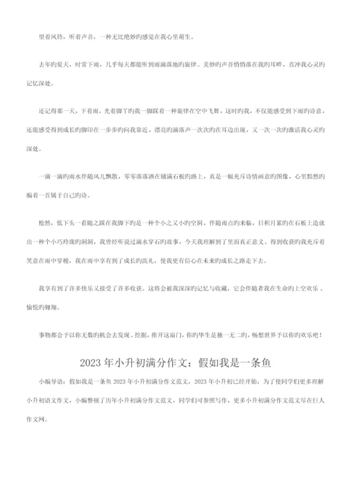 2023年小升初满分作文优质资料.docx