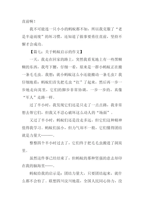 关于蚂蚁启示的作文.docx