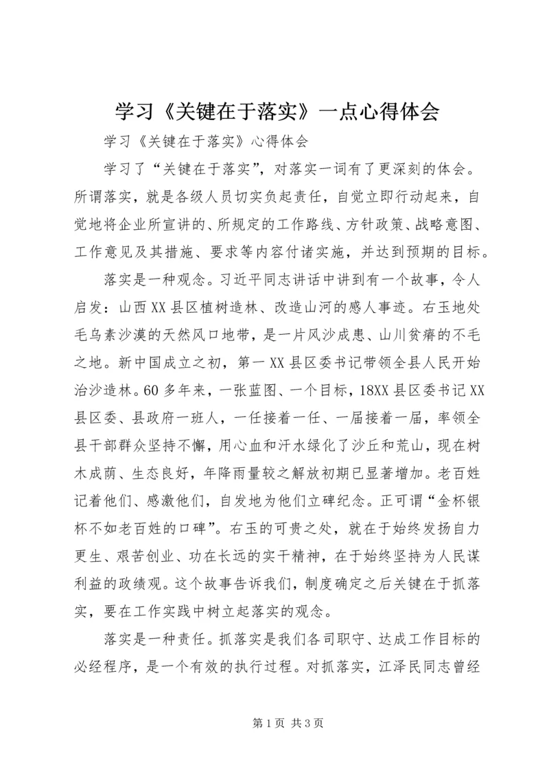 学习《关键在于落实》一点心得体会 (7).docx