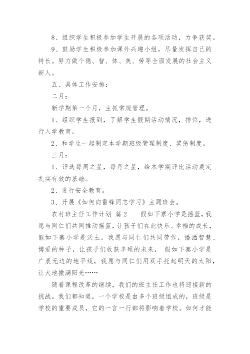 农村班主任工作计划.docx