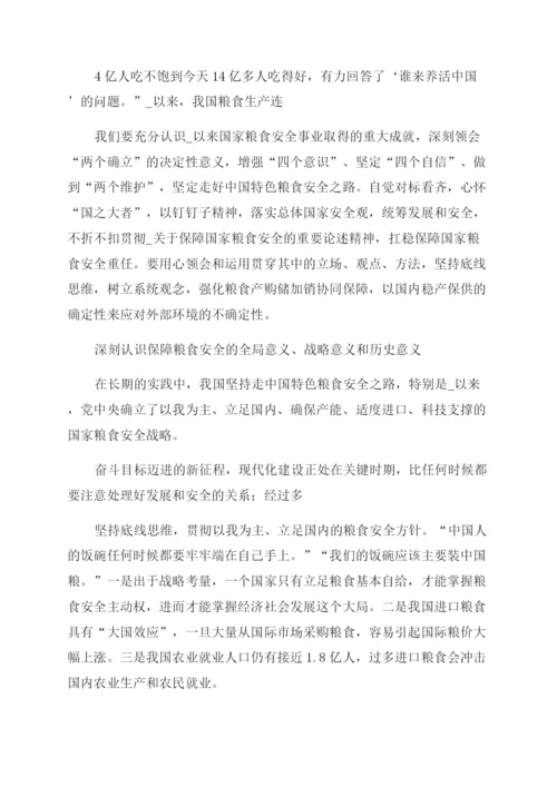 粮食安全形势与政策论文范文十篇.docx