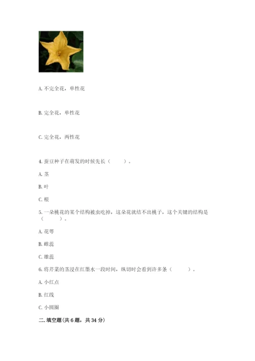 教科版科学四年级下册第一单元《植物的生长变化》测试卷【真题汇编】.docx