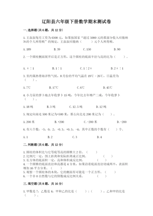 辽阳县六年级下册数学期末测试卷word版.docx