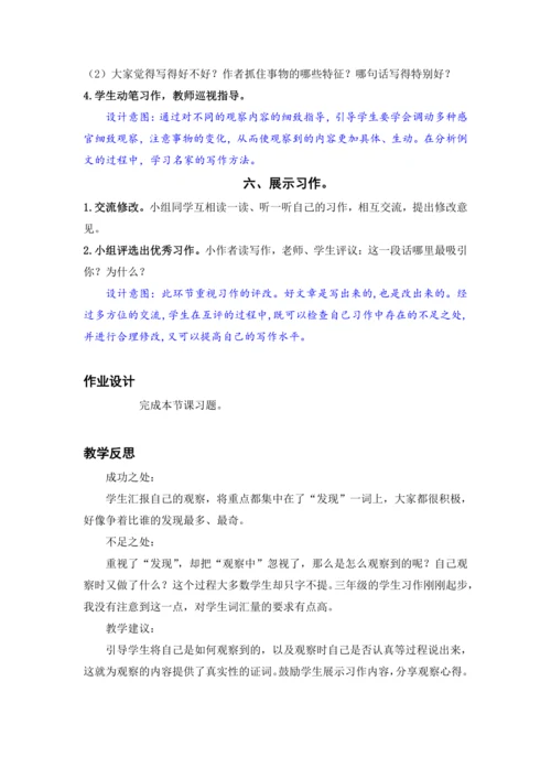 习作：我们眼中的缤纷世界