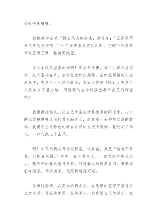 托物言志作文800字初中作文【推荐6篇】.docx