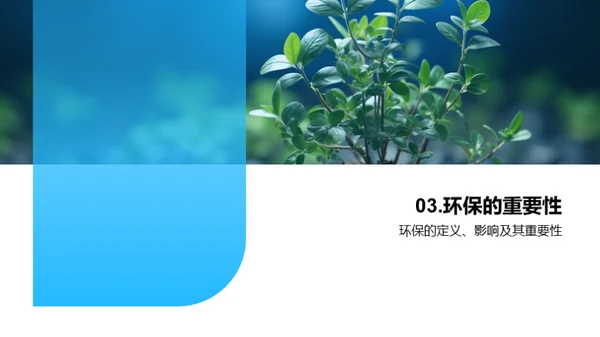 绿色行动 植树起航